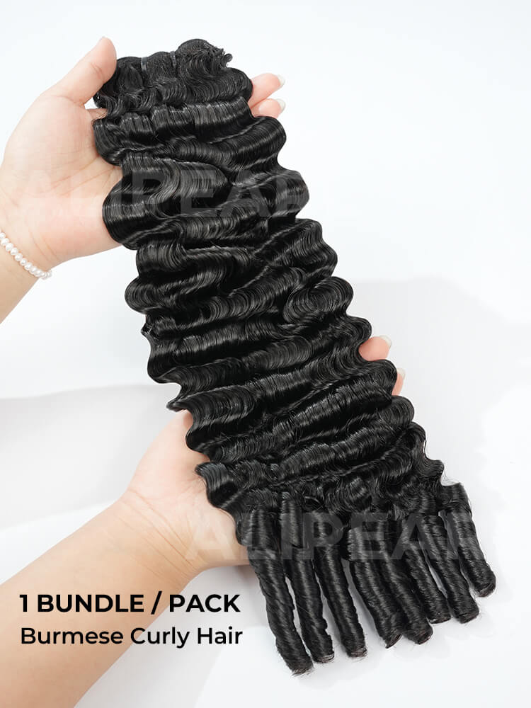 Burmese Curly One Bundle