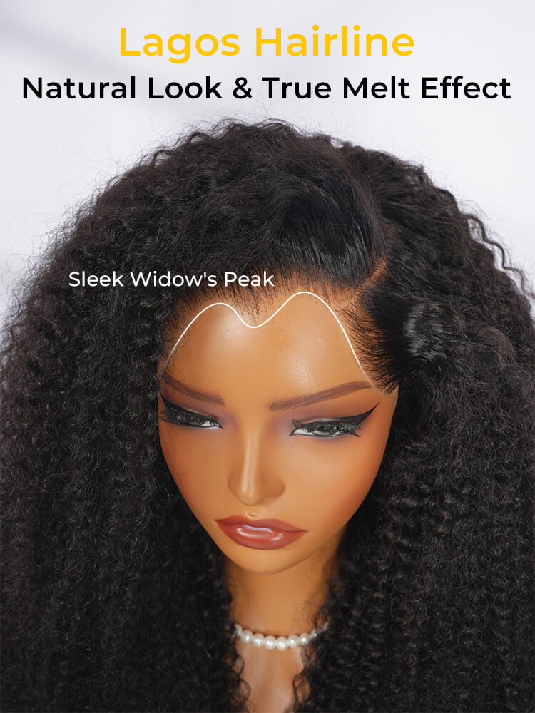 Kinky Curly HD Lace Front Wig