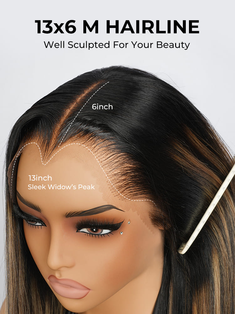 Straight Highlight Ombre Wig