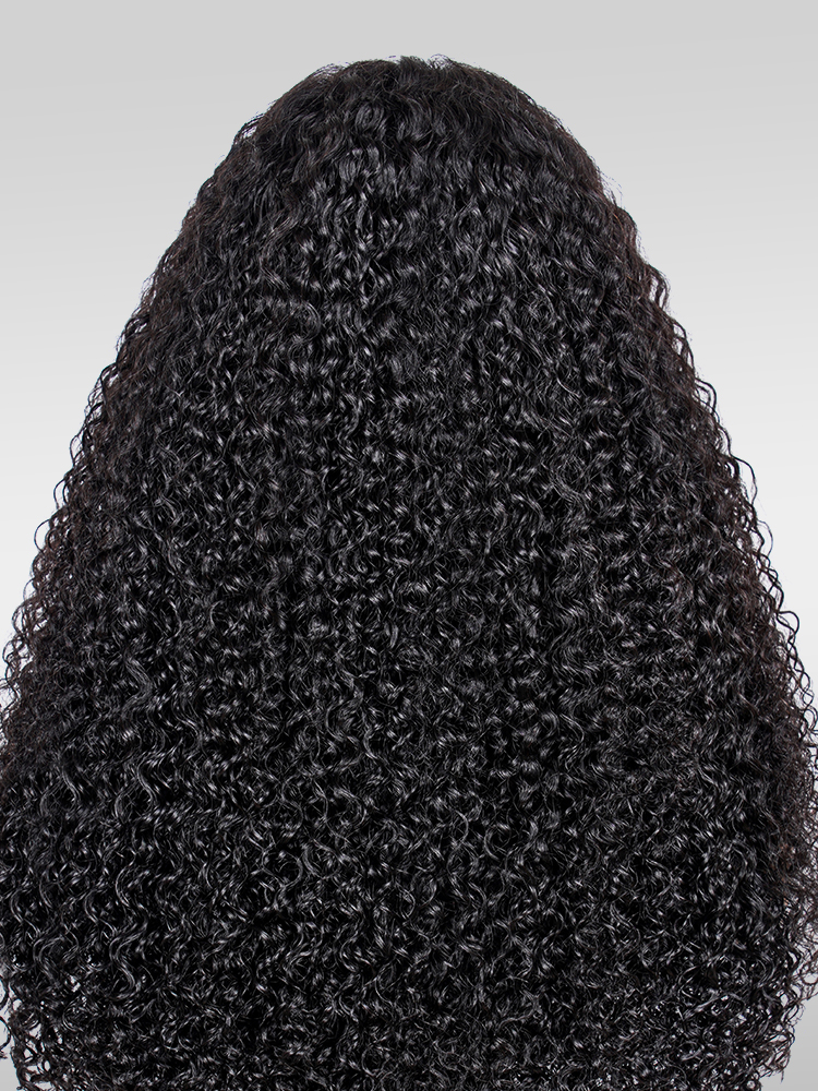 Bouncy Curly Lace Frontal Wig