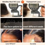HD & Transparent Lace