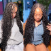 Synthetic Box Braided Wigs