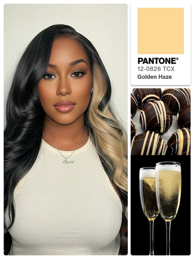 Side Part Blonde Highlight Body Wave 13x6 HD Lace Front Wig Skunk Stripe