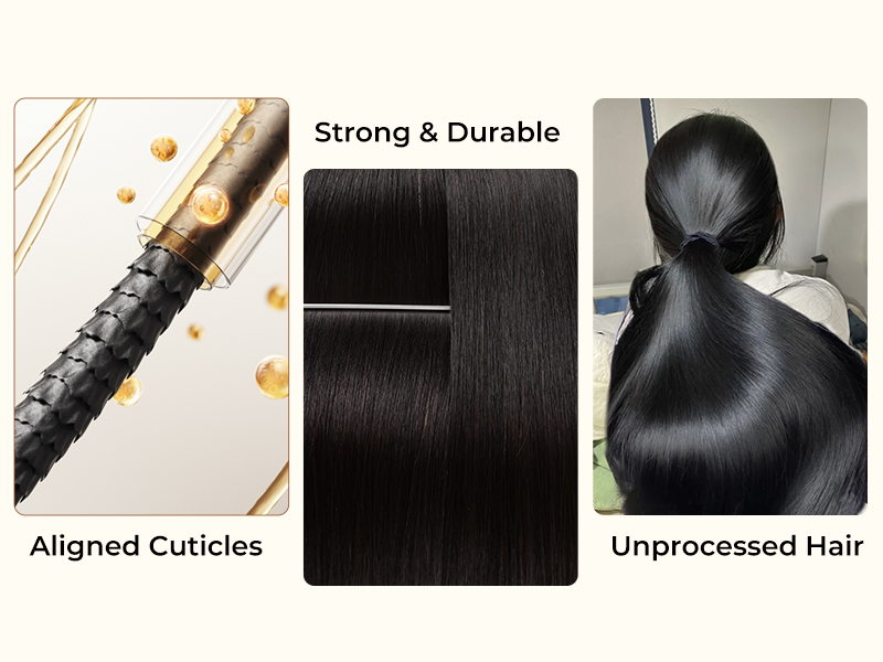 Human Hair