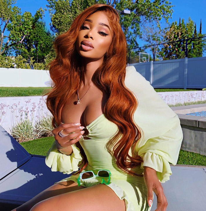 Highlight Lace Front Wigs