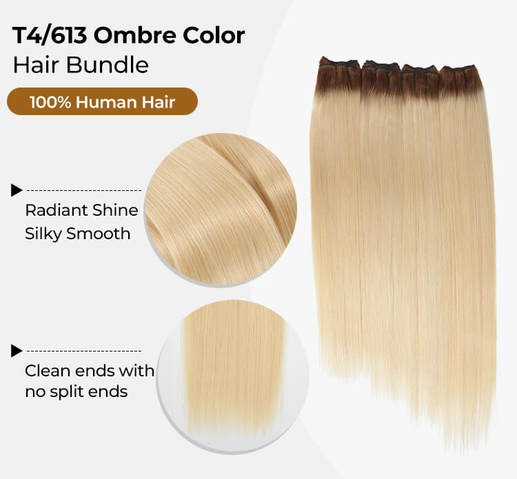 T4/613 Ombre Color Hair Bundle